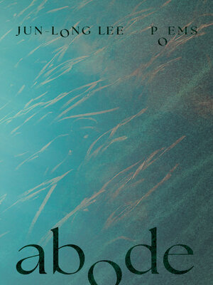 cover image of Abode